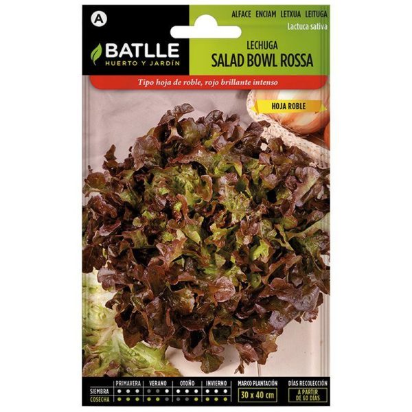Lechuga Salad Bowl Rossa