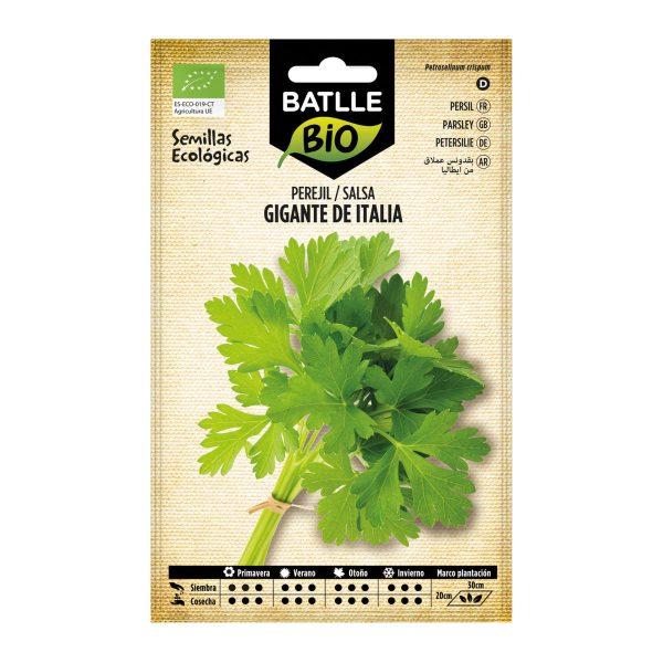 Semillas Ecológicas Perejil Gigante de Italia