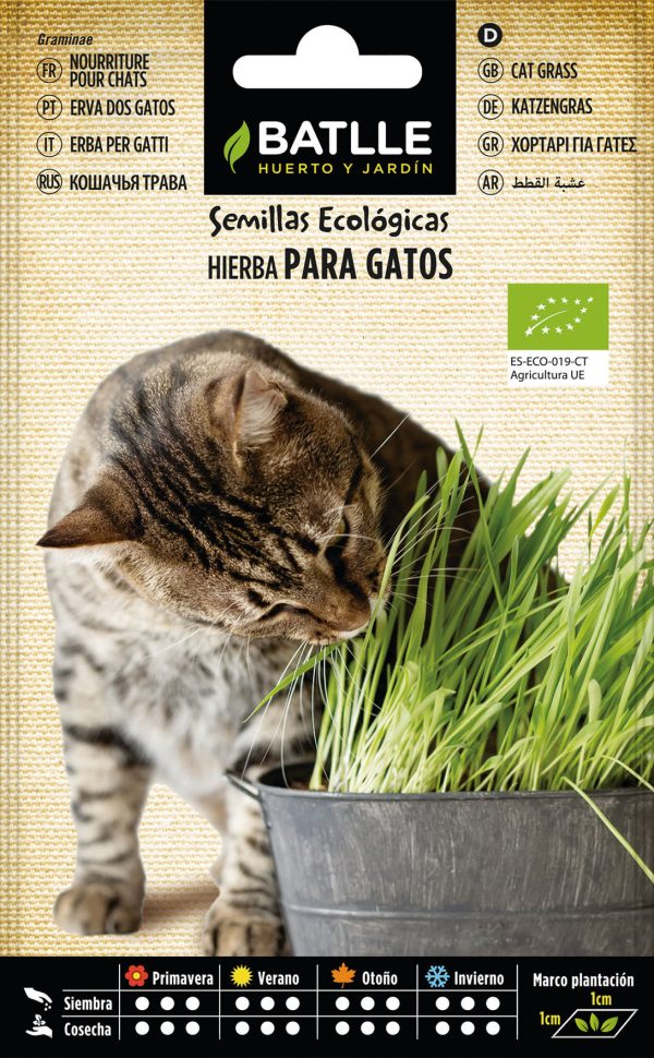 Semillas Ecológicas Hierba para Gatos