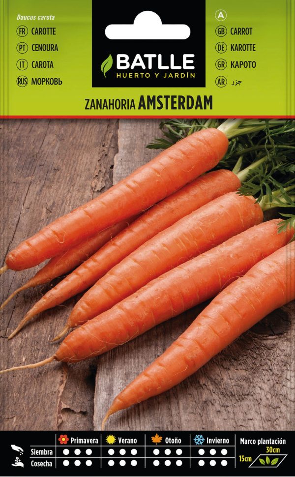 Semillas Zanahoria Ámsterdam