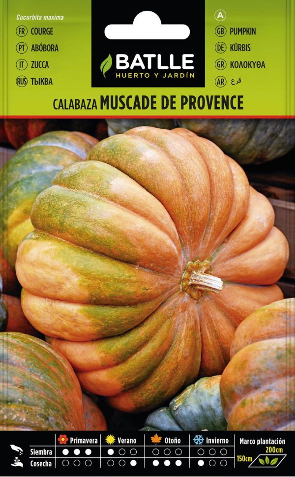 Semillas Calabaza Muscade de Provence