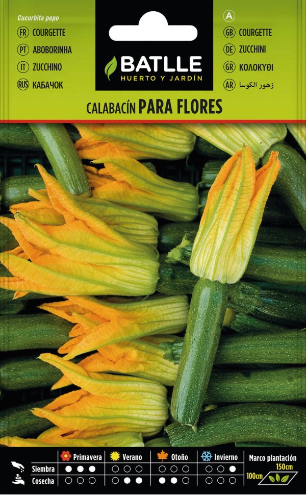 Semillas Calabacín para Flores