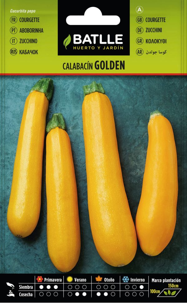 Semillas Calabacín Golden