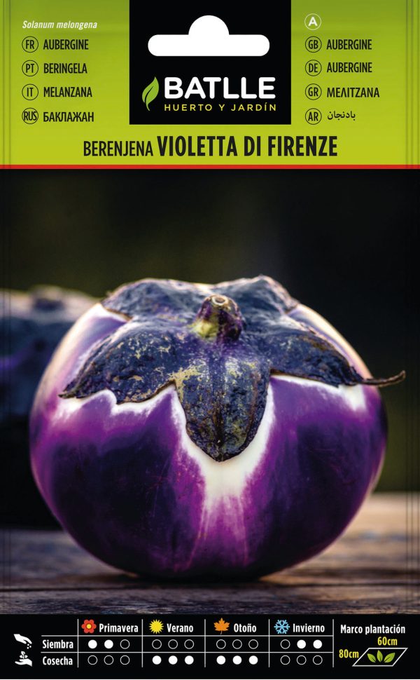 Semillas Berenjena Violetta di Firenze