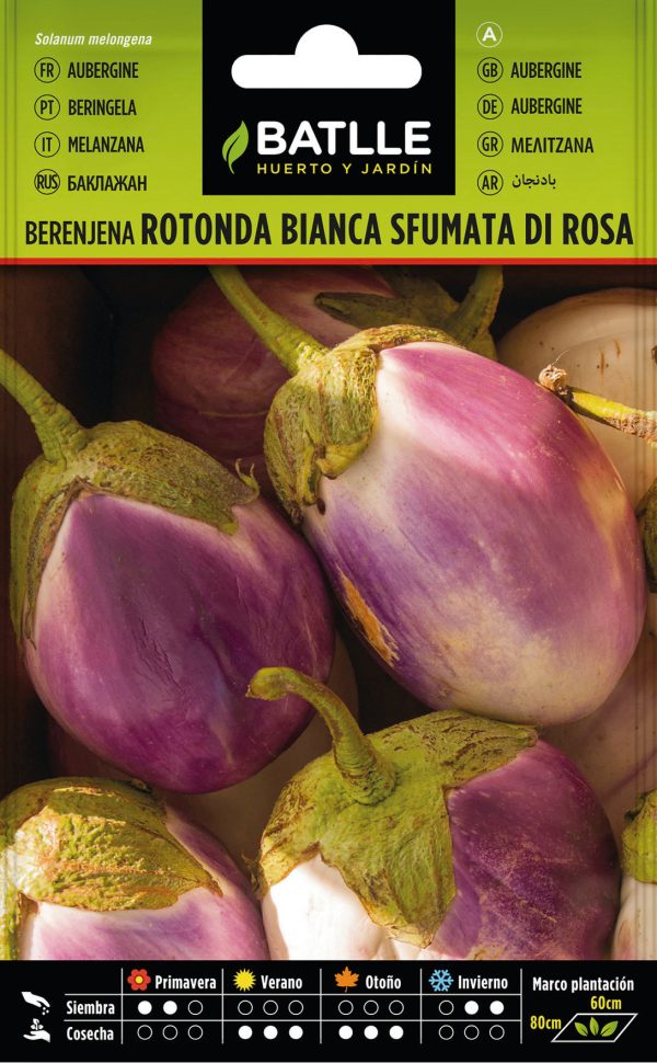 Semillas Berenjena Rotondo Bianca Sfumata Di Rosa
