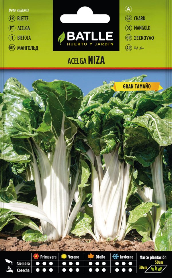 Semillas Acelga Niza