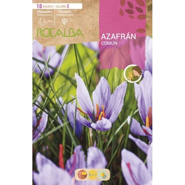 Bulbos Azafrán Común Rocalba