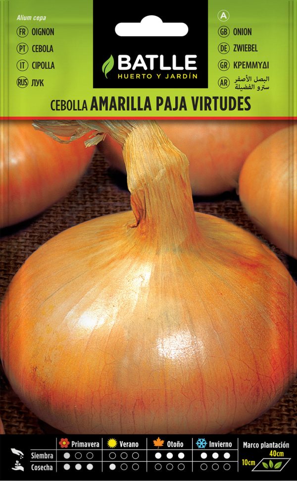 Semillas Cebolla Amarilla Paja Virtudes