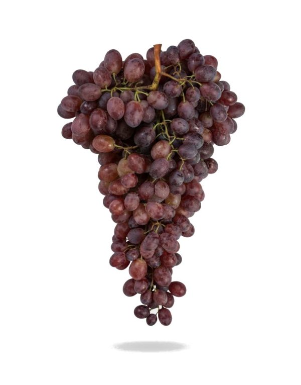 Parra de Uva de Mesa Ruby Seedless