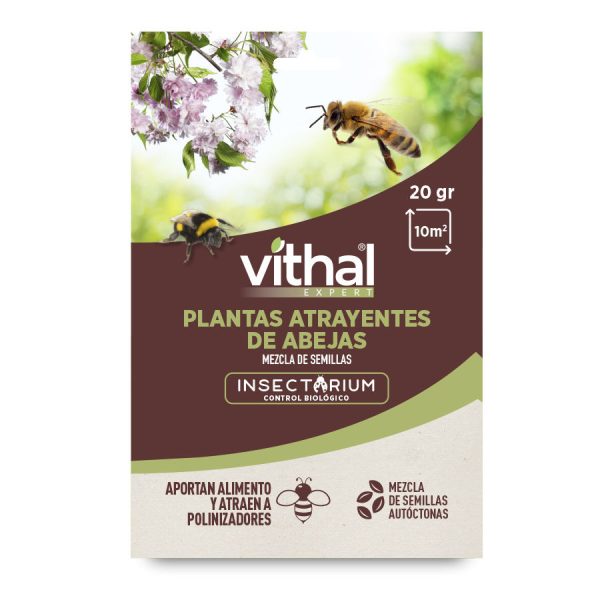 Semillas Plantas Atrayentes de Abejas
