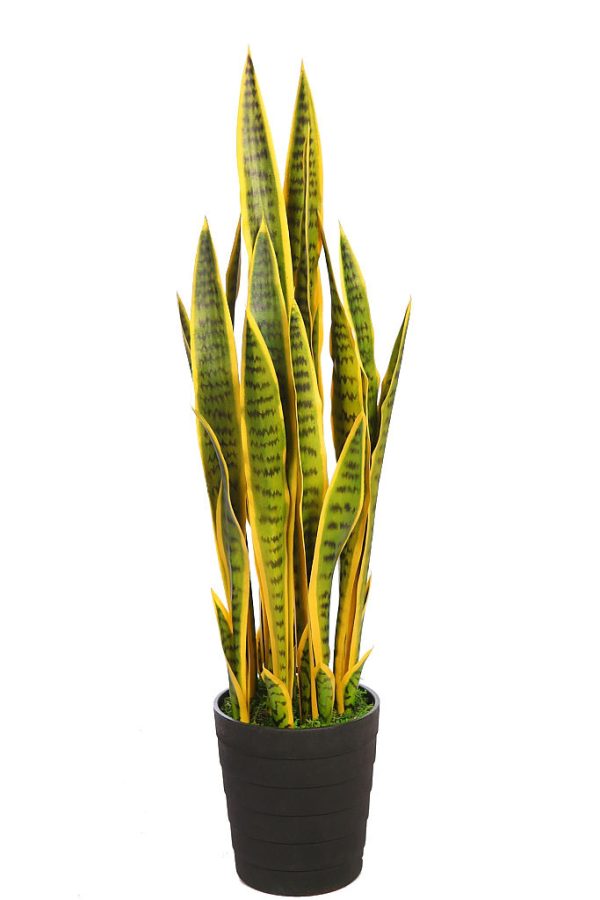 Sansivieria Artificial en Maceta