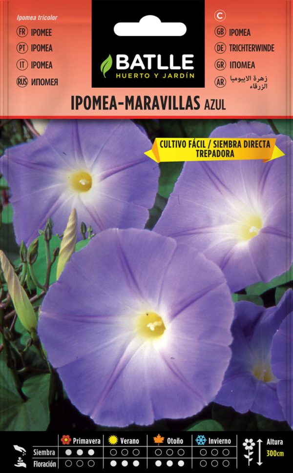 Semillas Ipomea-Maravillas Trepadora Azul