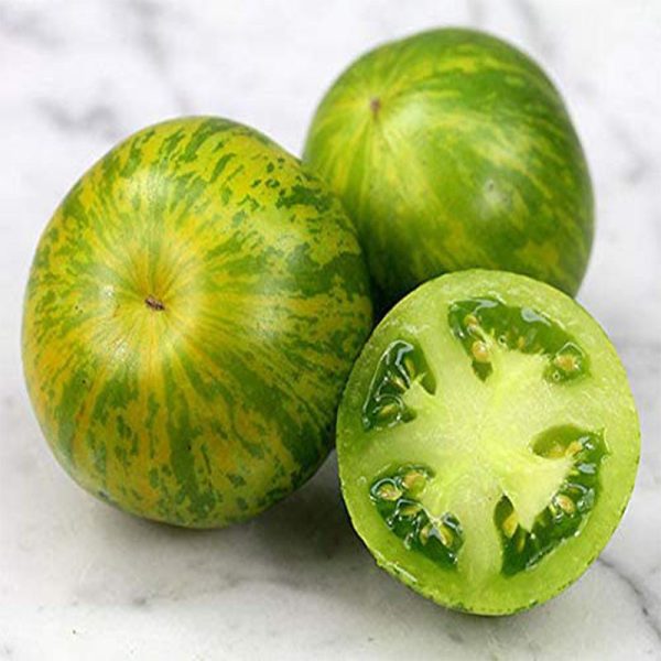Maceta Tomate Cebra M-11