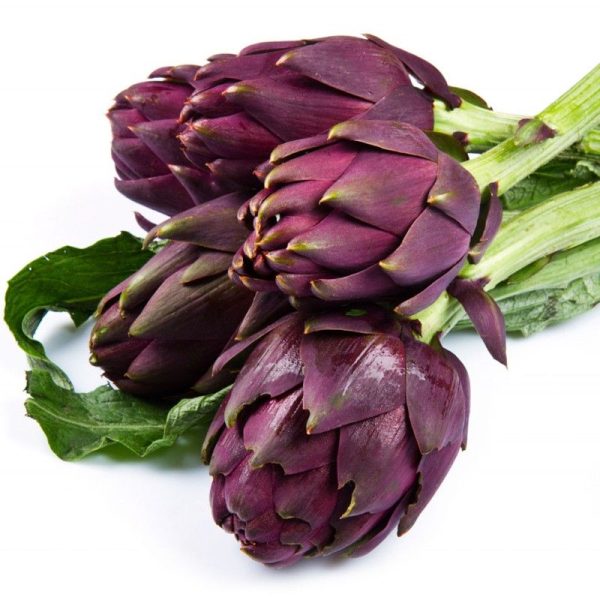Plantel Alcachofa Morada Eco 4uds