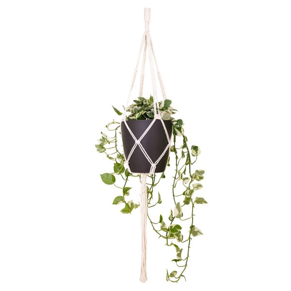 Nudo Cuadrado Simple De Macramé Blanco
