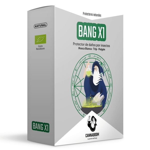 Bang X1 75ml