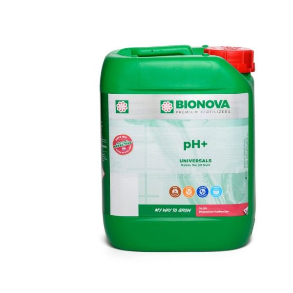 pH Up Bionova 5 L