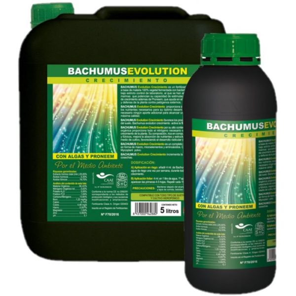 Bachumus Evolution Crecimiento