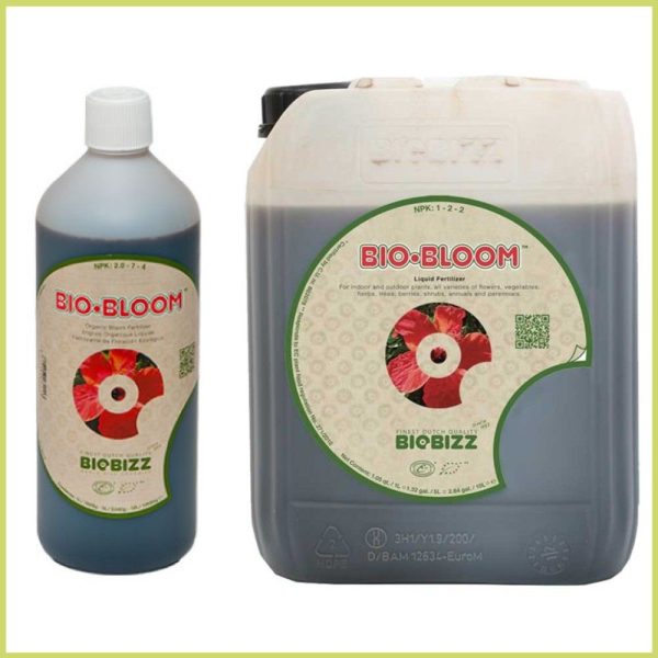 Bio Bloom Biobuzz