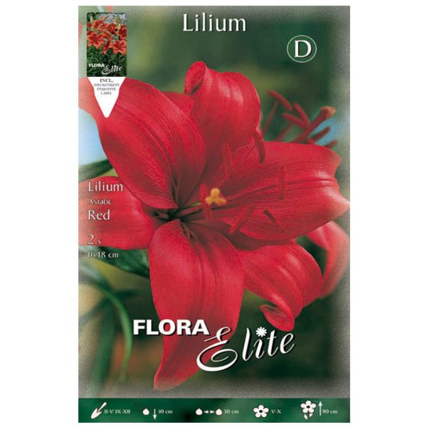Bulbos Lilium Asiatic Red Elite
