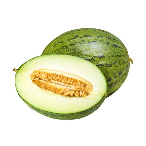 Plantel Melón Sancho INJERTO