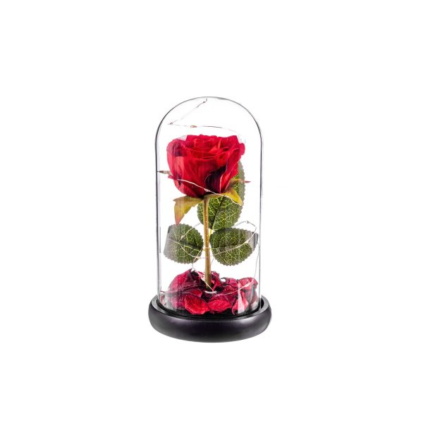 Rosa roja eterna leds cupula cristal 20 cm caison