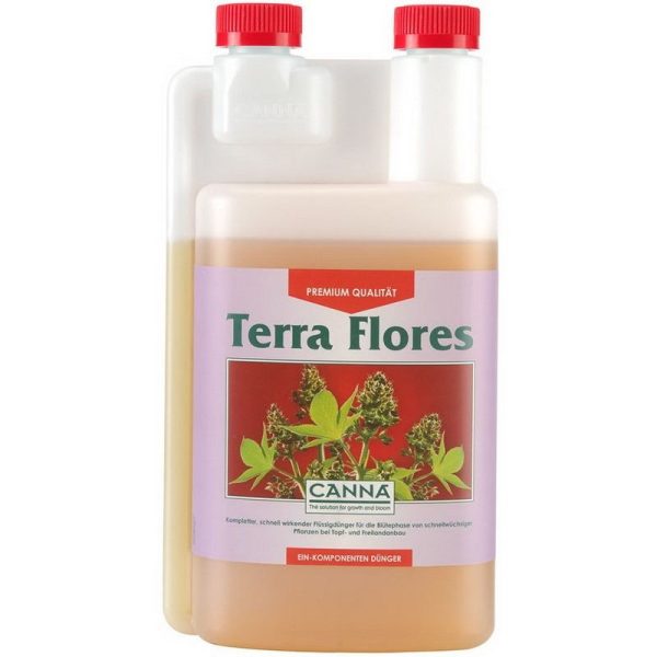 Terra Flores Canna